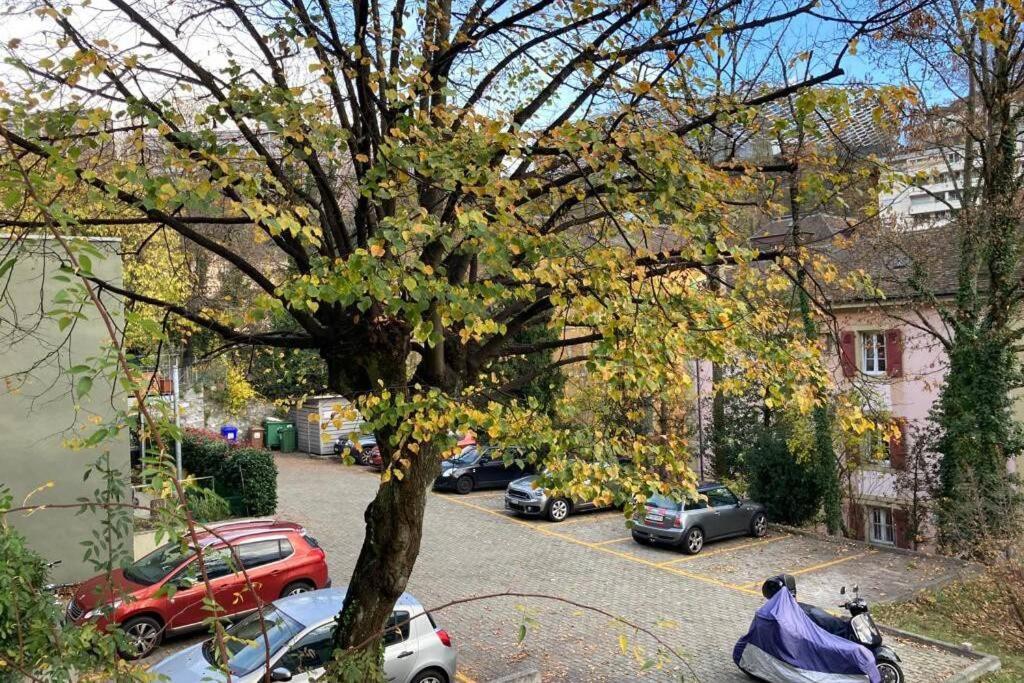 Parking & Appartement 2 Pieces Sans Traffic Лозана Екстериор снимка